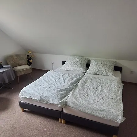 Haus Sissi ダウン