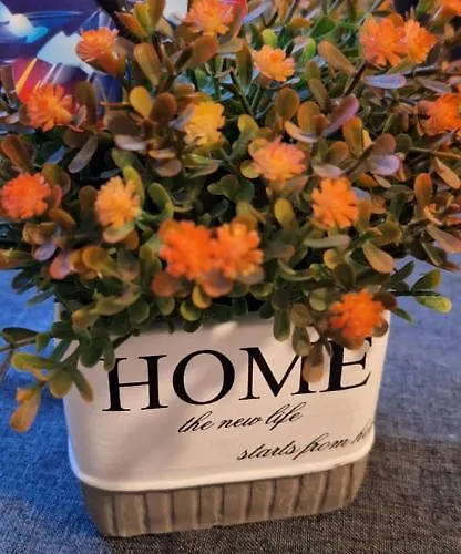 Appartement Haus Sissi *